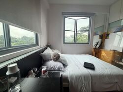 Springdale Condominium (D21), Condominium #581138041